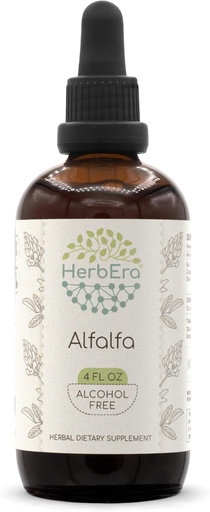 [BRSWGY37C4MB6ETJ] HerbEra Alfalfa B120 Alcohol-Free Herbal Extract Tincture, Concentrated Liquid Drops Natural Alfalfa 4 fl oz