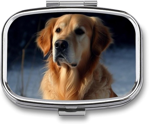 [BRSRAAI7B4NWACT6] Golden Retriever Pill Box 2 Compartiment Portable Pill Case Daily Square Pill Organizer for Pocket Purse Daily Medicine Container to Hold Vitamines Fish Oil Travel Gifts