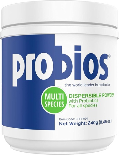 [BRSWGFT6OF4BOCDL] Probios Vet Plus Dispersible Digestive Powder, 240gm