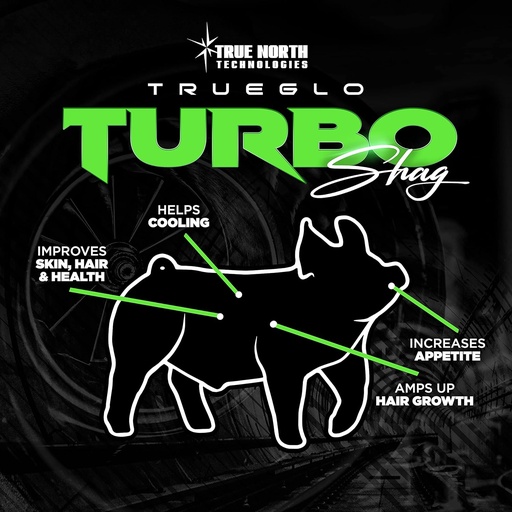 [BRSW2EACAAFQGYL7] TrueGlo Turbo Shag