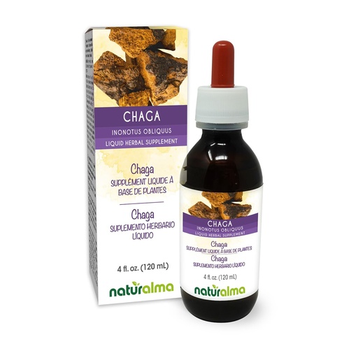[BRSWYCTYBAMG2DLZ] Naturalma Chaga (Inonotus obliquus) Mushroom Alcohol-Free Tincture - 4 fl oz Liquid Extract in Drops - Herbal Supplement - Vegan