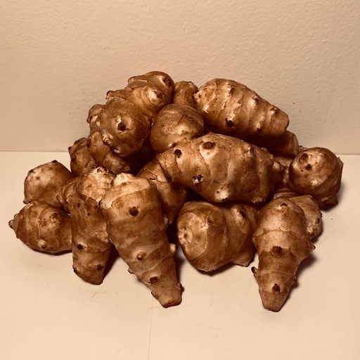 [BRSWGFI5OV5AKETB] Sunchokes Adama Foods - 2 1/2 pounds (2.5 lbs) for Planting or Eating FEDEX 2day