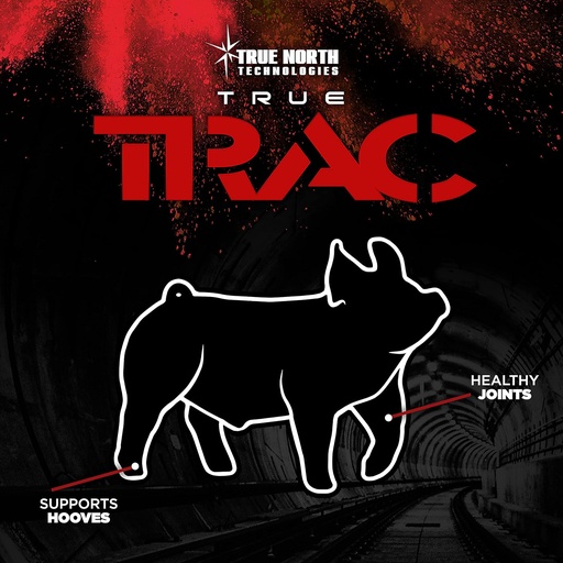 [BRSWYGQLDN6BEDQ6] True Trac