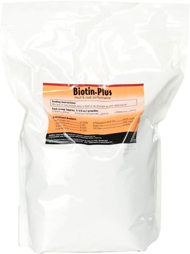 [BRSWIYQBBMMB4DQZ] 5. 002