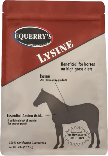 [BRSRAGDYAECQA3TG] Equerry's Lysine Supplement for Horses | Lysine Powder Supplement for Muscle Support and Immune Health | Balances Forage-Based Diets | 5Ib Bag