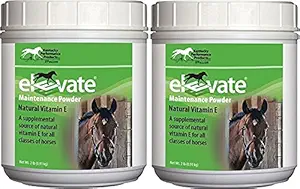 [BRSWGZYPDN5A2GT3] Kentucky Performance Products 2 Pack of Elevate Maintenance Power, 2 Pounds Each, Natural Vitamin E Horse Supplement