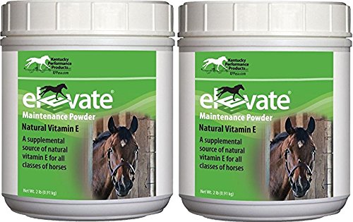 [BRSWGZYPDN5A2GT3] Kentucky Performance Products 2 Pack of Elevate Maintenance Power, 2 Pounds Each, Natural Vitamin E Horse Supplement