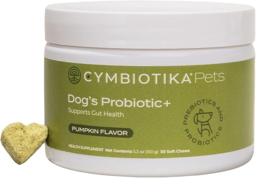 [BRSROCAOCB7BQ3TB] CYMBIOTIKA Dog Probiotic+, Probiotics for Dogs, Gut Health & Immune Support Supplement with Digestive Enzyme and Green Blend, Prebiotics, Postbiotics, Supplements for Dogs, Pumpkin Flavor, 50 Chews