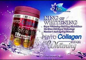 [BRSWGCA6B4IGK3DU] Phyto Collagen Whitening 19X STEM CELL Anti-Aging Pro Whitening Results Energy