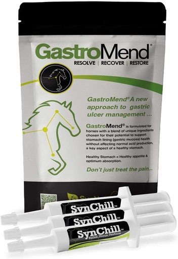 [BRSRAFAEBUHBMAYV] SynChill 3 Pack + GastroMend Bundle for Horses - Comprehensive Stomach Health & Behavioral Support, Aids in Gastric Ulcer Relief, Promotes Calmness & Focus, All Natural, Cost Effective