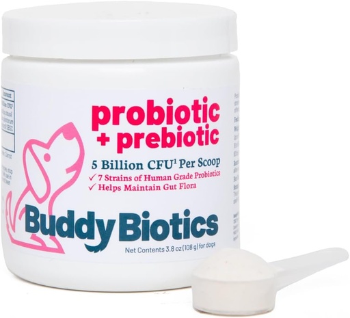 [BRSROHQTOIDQAHQ6] Buddy Biotics Probiotic + Prebiotic for Dogs- Gut Flora Health, Digestive and Immune Health, Diarrhea and Bowel Support – 5 Billion CFU per Scoop
