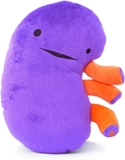 [BRSWIZYOOV4QCGD6] I Heart Guts Kidney Plush – 9" Educational Stuffed Organ Toy for Kidney Disease, Transplant Recovery, Dialysis, CKD, Polycystic Kidney, Renal Failure – Funny Get Well Gift