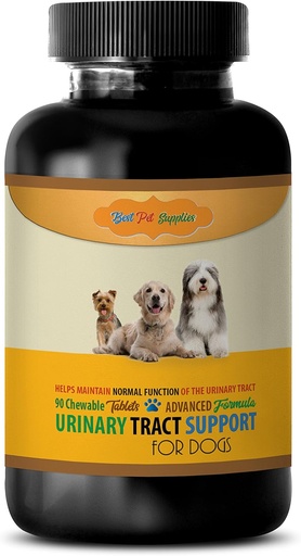 [BRSWGGL3AQHAI3Q2] Bladder Support for Dogs - Dogs Urinary Tract Support - Maintain Health Function - CHEWABLE - uva Ursi for Dogs - - dog supplements & vitamins - dog vitamins and multivitamins - 90 Treats (1 Bottle)