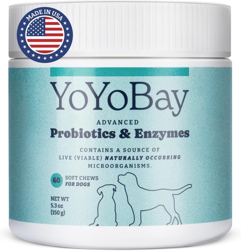 [BRSRAH34AEJQYCLB] Probiòtics per als Dogs, per a la salut Gut i la salut de Gutratius, Yest balance, Imne support, Dog Probiotics i Digestive Enzymes, sobre 1 Bilion CFUs, 60 Chews tous