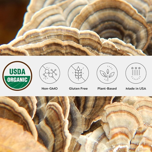 [BRSROZL6OZ5AADTZ] Organic Turkey Aste Mushroom Powder, Single Estate, Non-GMO - Gut, Enerģija, Smadzenes, & Imūnsupport - Vegan Sēņu Papildinājums Reselable Glass Jar