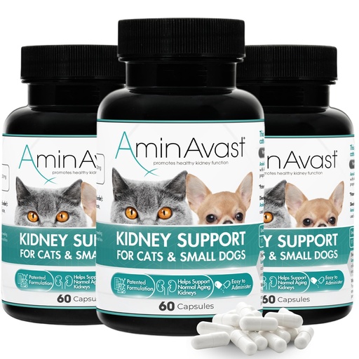 [BRSRMHQTB56AAFL7] AminAvast Kidney Support for Cats & Small Dogs, 300 mg, 3-Pack, 60 Capsules