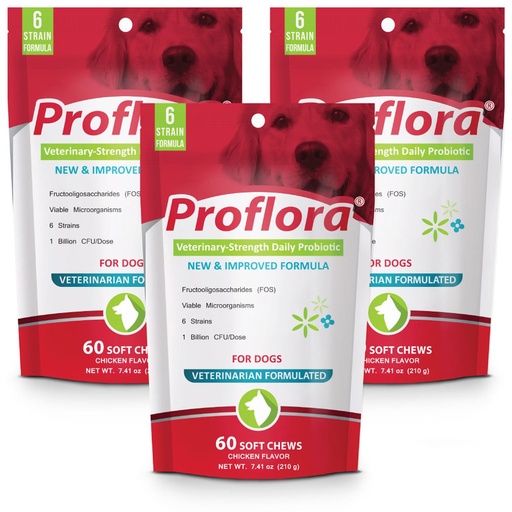[BRSWIZIHCUOWMEDG] Proflora Probiotic Soft Chews for Dogs - Veterinary-Strength Daily Probiotic - Digestion Health - Boost Immune System - Skin and Coat Health - 180 Soft Chews
