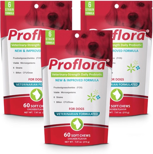 [BRSWIZIHCUOWMEDG] Proflora Probiotic Soft Chews for Dogs - Veterinary-Strength Daily Probiotic - Digestion Health - Boost Immune System - Skin and Coat Health - 180 Soft Chews