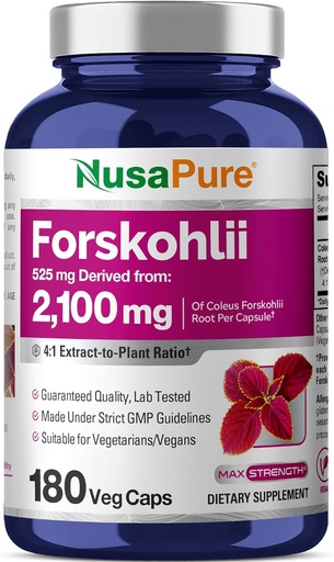 [BRSWGFT4AAPB433Z] NusaPure Forskohlii 4:1 uute, 525 mg, mikä vastaa 21,00 mg per kasviskapseli - 180 kapselia (ei-GMO, gluteeniton)