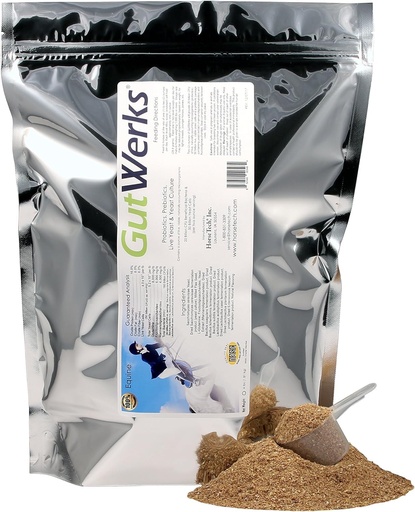 [BRSWG2QBO4NQAFDO] Horsetech GutWerks (4 lbs.)