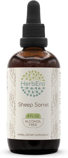 [BRSWGZL2OEHQ43TG] Sorrel de ovelhas B120 extrato de ervas sem álcool Tintura, gotas de líquido concentradas Sorrel de ovelhas naturais (Rumex Acetosella) Herb seco (4 fl oz)