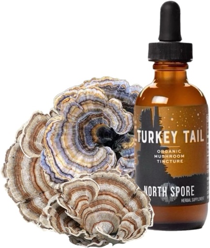 [BRSRAEIDPJ5RGDT5] North Spore Organic Turkey Tail Tincture | Mushroom Supplement for Immune Wellness | Sustainably Grown & Confirmed for Potency | Trametes Versicolor Extract | Vegan, Non-GMO - 2oz