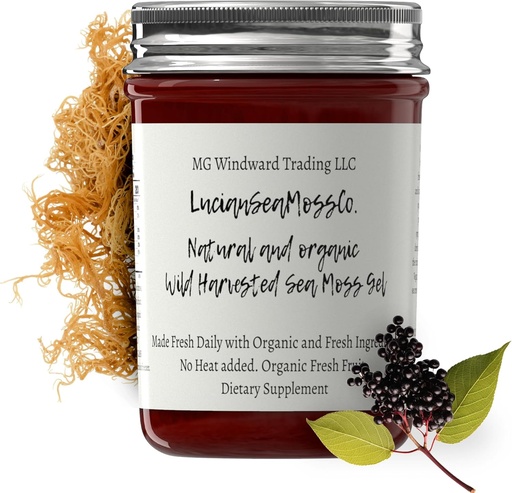 [BRSW2GL3OICQAF36] Dr. Sebi Εμπνευσμένο Alkaline Organic Fresh Elderberry Ginger Sea Moss Gel - Φυσικές Ουσιώδεις Βιταμίνες, Ορυκτά Plus Αντιοξειδωτικά Άγρια Συγκομιδή από την Αγία Λουκία (8 οζ.)