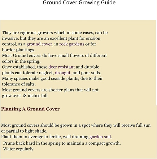 [BRSW2AQECJ4GO2YV] Creeping St Johns Wort/BRIGADOON/Hypericum Calyinum in 4 Inch Pots (2)