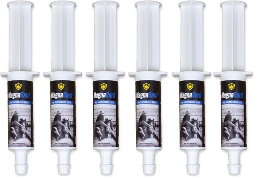 [BRSWYAYNCQCBOE3B] Pre-Performance Calming Paste for Horses - All Natural Gastric Support by Eagle Equine (6 Pack)