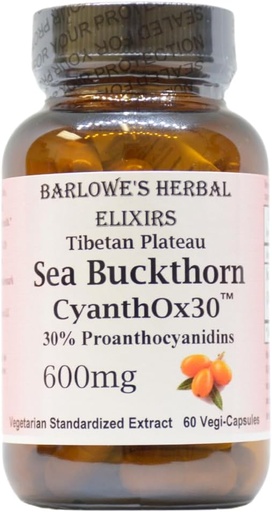 [BRSROFILDMMBQFY3] Barlowes Herbal Elixirs Sea Buckthorn Extract | CyanthOX 30TM | 600 mg per kapsel | Hud, immun, och Digestive Support | 60 Vegan kapslar | Glass Bottled