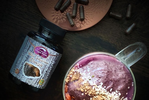 [BRSROEA5O4DQGFD5] Drage urter - vilde sibiriske Chaga kapsler - 100 kapsler, 450 mg hver