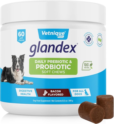 [BRSRAFIEBMCQKHL2] Vetnique Glandex Daily Probiotics for Dogs with Prebiotics to Support Gut Health with Fiber and Digestive Enzymes, Probiotic Chews or Powders (60ct Chews, Bacon Chews)