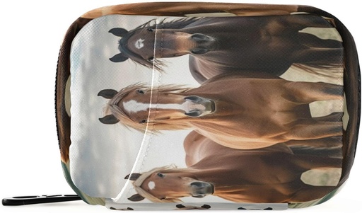 [BRSROBI3CAOWGAIV] Horse Pill Organizer Case Portable Weekly Daily Pill Case Bag Organizer with Zipper for Supplements Medicine Travel Family Business