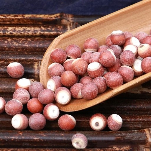 [BRSRMFDQDNYRQHT7] Gorgon Fruit Sosial Qırmızı Qırmızı Qırmızı Qırmızı Çiçək Qırmızı Şəkil; Semen Euryales; Gorgon Euryale Seed; Gordon Euryale;qian Shi (500 Grams /1.10 lbs)