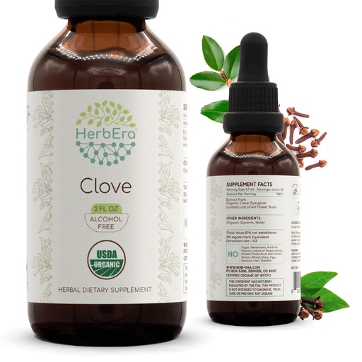 [BRSRO2Q7AB5BQAD5] HerbEra Clove USDA Organic Tincture | Alcohol-Free Extract, Herbal Drops, Immune System Health | Certified Organic Clove (Syzygium Aromaticum) Dried Flower Buds (2 fl oz)