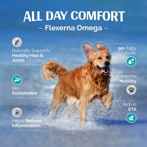 [BRSWIFQEPIMW2FA5] Joint Supplement for Dogs - Rich in Green-Lipped Mussel Extract - Fish Oil - Omega-3 Support - Vet-Formulated Mobility & Comfort - 8 Oz Liquid Pump