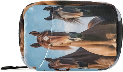 [BRSROBI3CF4GEA3G] Zirgu Pill organizētājs Case Portable Weekly Pill Case Bag Organizators ar zipper papildinājumiem Medicīna Travel Family Business