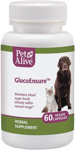 [BRSWIYQ5BYMQK2Q5] PetAlive GlucoEnsure - All Natural Herbal Supplement for Maintaining Blood Sugar (Glucose) Levels Already in The Normal Range in Pets