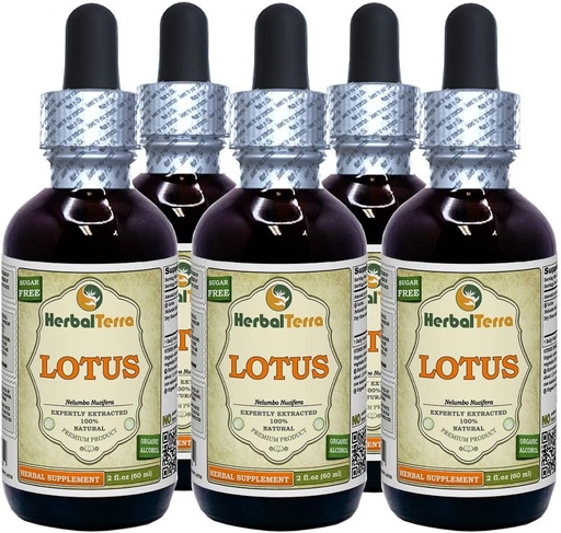 [BRSWGATYDICBGA3L] Lotus, Xi Xin (Nelumbo Nucifera) Getrockneter Stammflüssigkeitsextrakt (Markenname: HerbalTerra, Proudly Made in USA) 5x2 oz