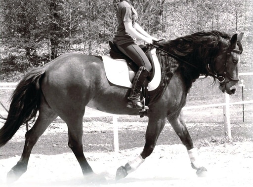 [BRSWG2YQAEMRG33D] Hormone and Calming Supplement for Horses All Natural Pure Raspberry and Peppermint Leaf Herbal Blend 14 oz.
