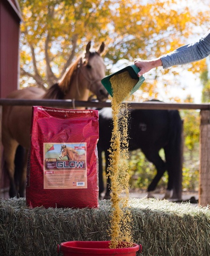 [BRSWKFQCO4EB2GQ7] Glow 40 lb, Aids in Weight Gain for Horses and Improves Coat and Condition, High in Omega-3’s