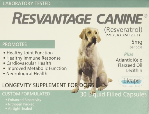 [BRSWIGYCBZ6B4YL6] Resvantage Canine