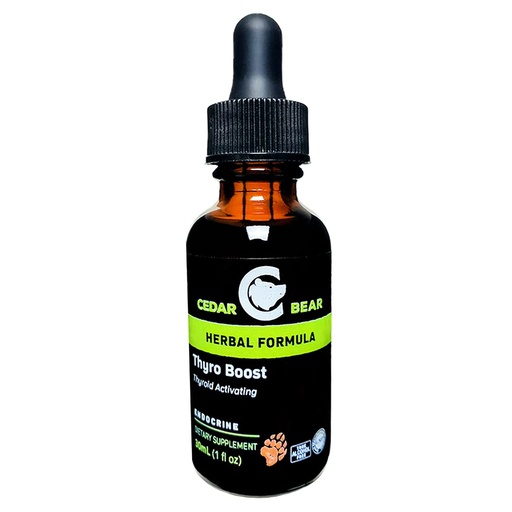 [BRSWIBTZBEOAE23I] Cedar Bear Thyro Boost a Liquid Herbal Supplement That Helps Activate and Build Thyroid Function and Structural Integrity 1 Fl Oz