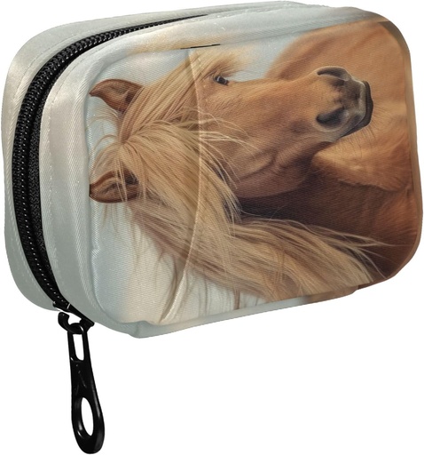 [BRSRABTYOYJWK2TB] Fustylead Hermoso Caballo Marrón con largo Mane Pill Organizer Caso con cremallera 2 veces Un día para la vitamina y suplemento, 7 días de organización de viajes Caso de medicina