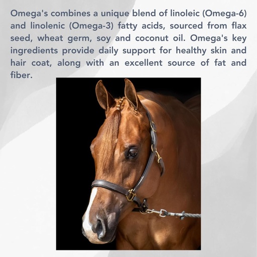 [BRSWIZT3B4FGMFTY] Omega's (25lb) Healthy Coat Support for Horses