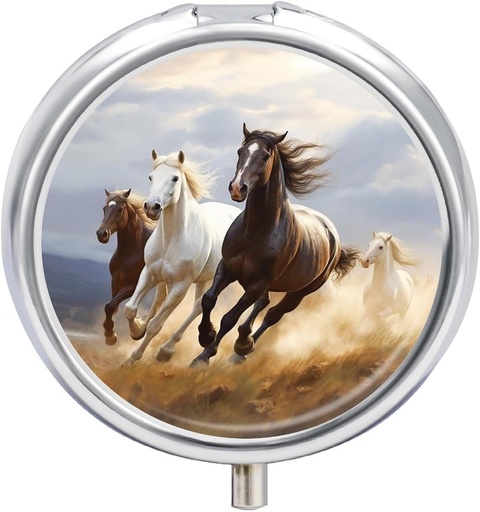 [BRSRAAAPBYGRUGQY] Horses Running Art Pill Case 3 Compartment Portable Pill Box Daily Round Pill Antolatzailea Pocket Purse Daily Medicine Edukiontzi for Hold Vitamins Fish Oil Travel Gifts