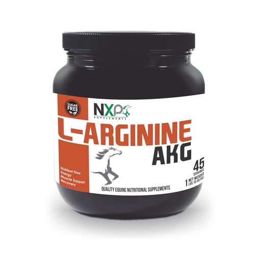 [BRSRAGLQDINBEEY4] L-Arginine AKG - Boosts Performance, Muscle, Energy & Recovery Nitric Oxide Booster Vasodilation Nutrient Flow Support Supplement for Horses - 1 lb / 45 Servings