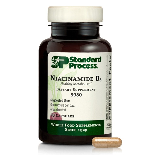 [BRSWGZTYCMMRYGT5] Standard Process Niacinamide B6 - Supports Energy Metabolism & Nervous System Health - Aids Blood Flow & Digestive Health with Niacin & Vitamin B6 - Non-Dairy - 90 Capsules