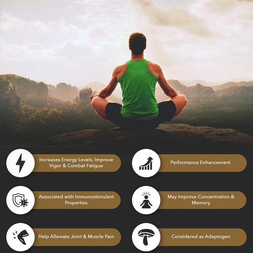 [BRSROBQNOECAA2D5] Shilajit Pure Himalayan Organic Resin Gel — Energy Boost, Digestive Health & Immune Support — Trace Minerals Natural Black Shilajit for Men & Women — Rich in Fulvic Acid, Iron, Magnesium (60 Grams)