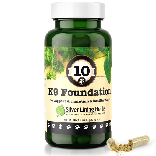 [BRSWIZDRO4BBM33G] K9 Foundation Daily Supplement for Dogs - 90 Ct | Daily Supplement for Dogs, Milk Thistle, Echinacea & Flax, Liver, Kidney, Digestion & Immune Support, 90 ct, Made in USA
